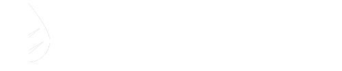 Мята